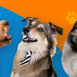 Banner_Centro-Mascota_V2
